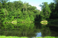 1819 East York Ct woods