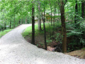 Driveway: Mature trees surround open lawn back yard on hillside setting. Privacy, acreage, wildlife adjacent undeveloped parcel. Home re model in total 2011. Drive way under construction. Paving Sept 2011.